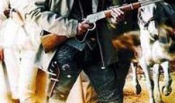 大漠神枪在线观看,传奇枪手的绝地逆袭